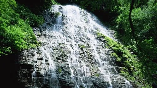 节能高精度绿色